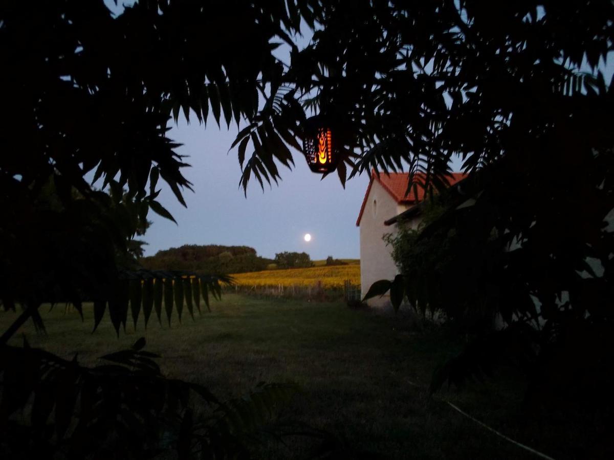 Au Repos Des Elfes Villa Braye-sous-Faye Kültér fotó
