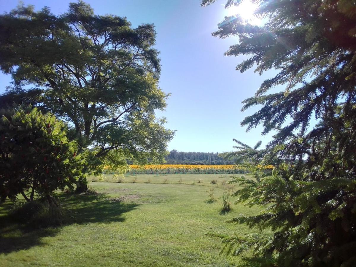 Au Repos Des Elfes Villa Braye-sous-Faye Kültér fotó