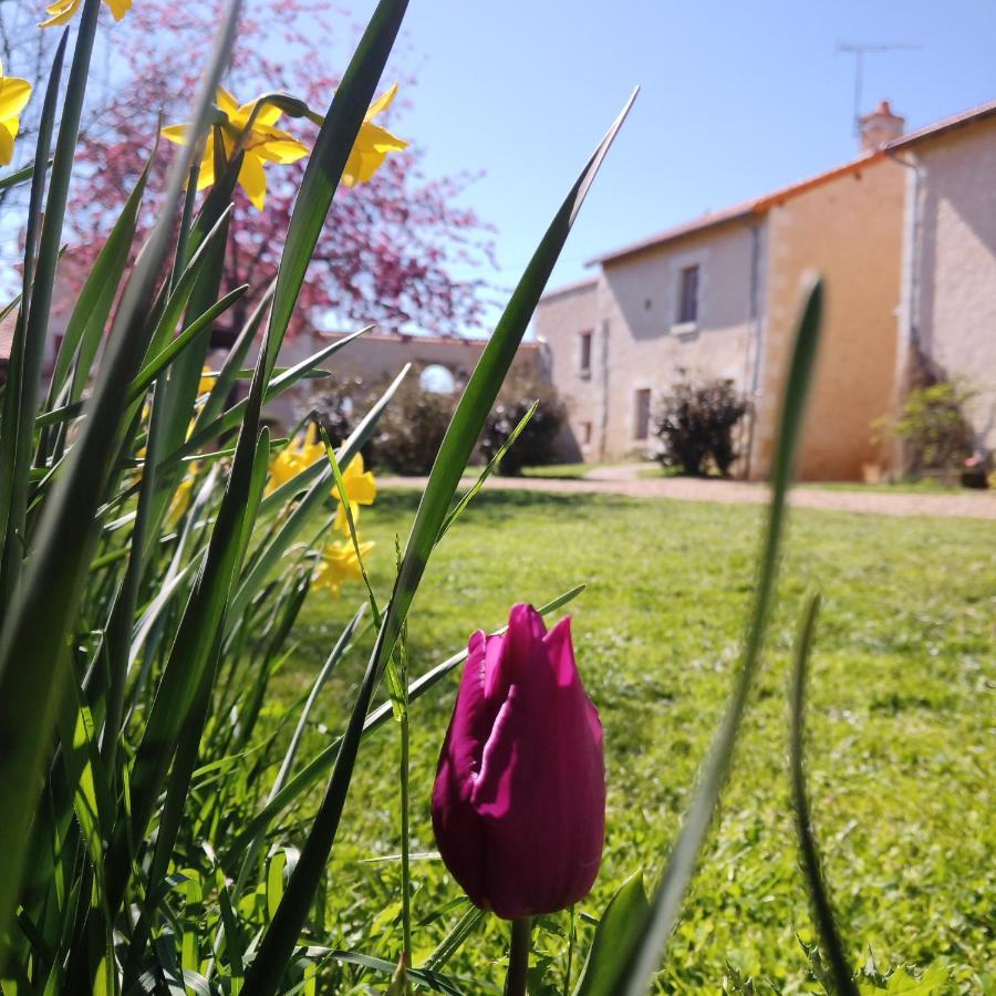 Au Repos Des Elfes Villa Braye-sous-Faye Kültér fotó