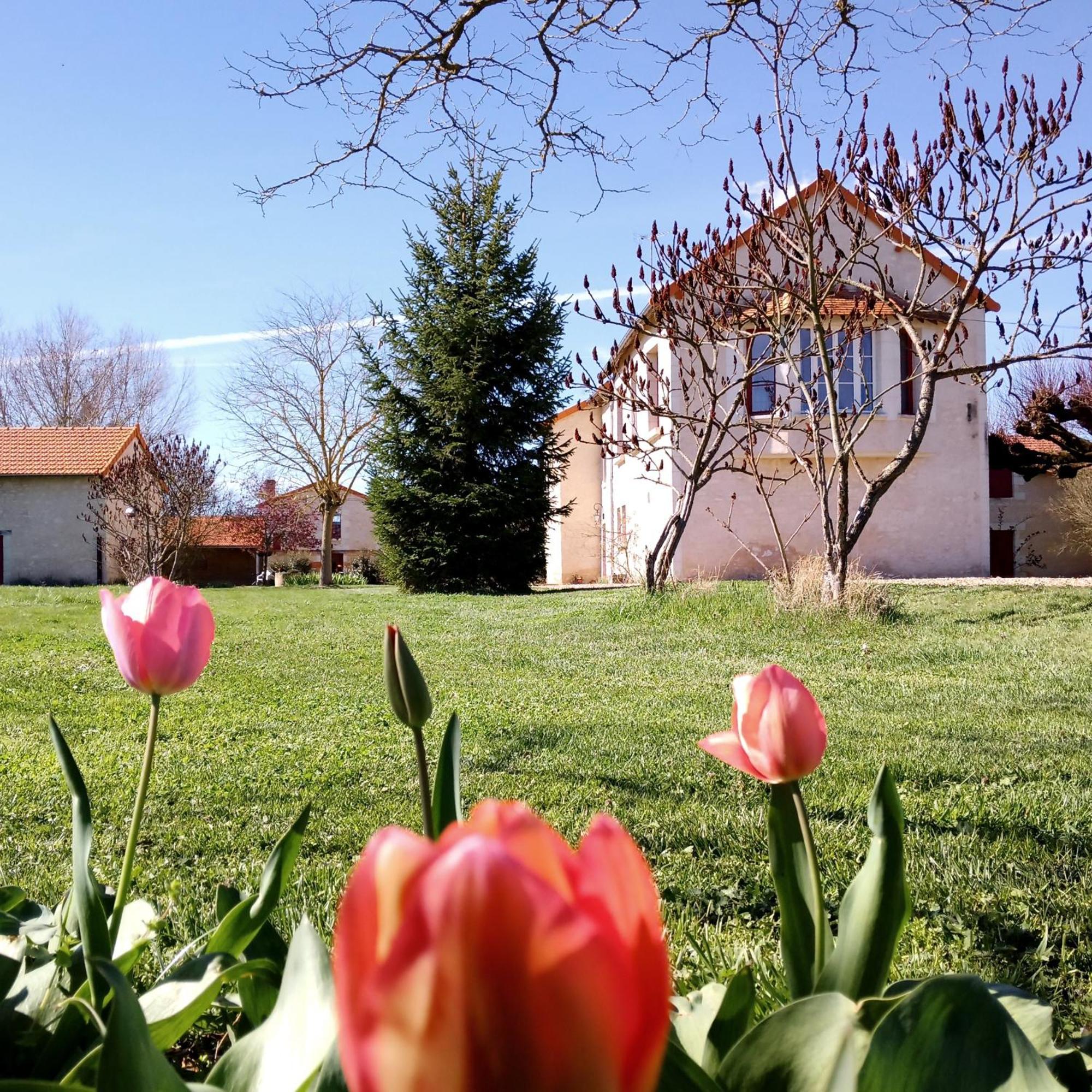 Au Repos Des Elfes Villa Braye-sous-Faye Kültér fotó